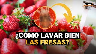 ¿Cómo lavar bien las fresas y eliminar los parásitos  El truco para desinfectarlas 🍓 [upl. by Attirehs]