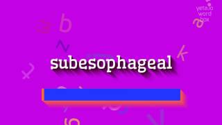 SUBESOPHAGEAL  HOW TO SAY SUBESOPHAGEAL subesophageal [upl. by Nerrawed681]