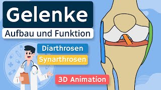 Gelenke  Aufbau und Funktion einfach erklärt  3D Animation [upl. by Mattie]