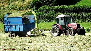 Silage with Claas Trailed Forage Harvester [upl. by Nodarb70]