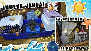 🏠 COBIHOUSE TOUR  PRODUCTOS de mis COBAYAS 🐹📦 VERANO 2017 🌞 [upl. by Lua]