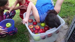 Bobbing for apples [upl. by So118]