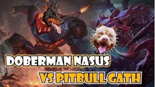 CUỘC ĐỐI ĐẦU CỦA 2 LOÀI CHÓ DOBERMAN NASUS VS PITBULL GATH [upl. by Sellig]