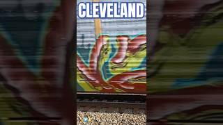 Cleveland Grafitti Train Brookpark RYA Train Station shortvideo shorts short [upl. by Olga]