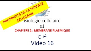 biologie cellulaire s1 vidéo 016  la membrane plasmique شرح [upl. by Koorb567]