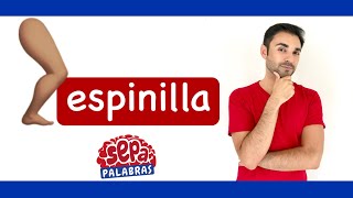 Espinilla ¿por qué se llama así la de la pierna SepaPalabras [upl. by Anelys851]