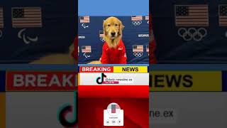 Meet Beacon the Golden Retriever Who Had an Important Role at the US Olympic Gymnastics Trials [upl. by Victor]