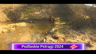 Piękne pstrągi Podlasia Chrzest nowego podbieraka 2024 [upl. by Buff]