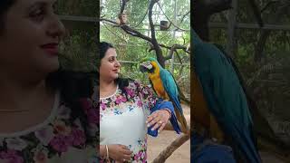 Ho Tota Tota Sajan Se Kahna ❤️❤️ Chandigarh Birds Park song viral love [upl. by Carpenter600]