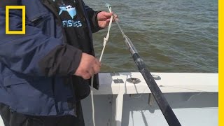 Fishing Tips How to Rig a Harpoon  Wicked Tuna Outer Banks [upl. by Alleram]