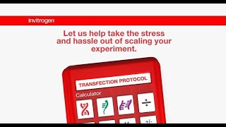 See How Easy it is to Get Your Customized Transfection Protocol [upl. by Eanal960]