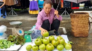 FULL VIDEO 100 days of picking fruit and catching clams to sell at the market  Loc Thi Huong [upl. by Moise]