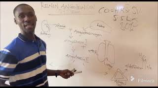 RENIN ANGIOTENSIN SYSTEM Made simple [upl. by Ennaus999]