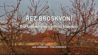 Řez broskvoní  řez stromů s kotlovitou korunou 2 díl [upl. by Akeemaj]