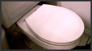 How to replace a toilet seat [upl. by Un]