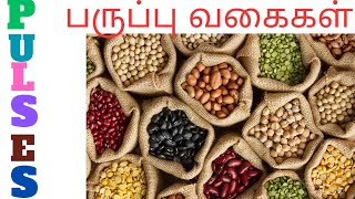 Pulses Namesபருப்பு வகைகள்pulses Names Tamil and EnglishDal Nameslearn pulses Names for kids [upl. by Suoinuj]