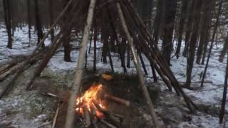 Building a Wickiup Shelter Day 1 [upl. by Ymmik]