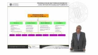 Priorización de sectores económicos   UPV [upl. by Bridie170]