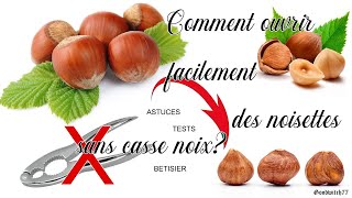 Comment ouvrir facilement des noisettes Tests astuces  bêtisier How to open hazelnut tips amptrick [upl. by Aneed789]