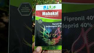 महाकाल कीटनाशक थ्रिप्स व्हाइट फ्लाई खत्म mahakal insecticide fipronil 40 imidacloprid 40 [upl. by Mcconaghy963]