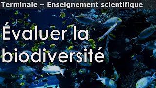 Évaluer la biodiversité  Enseignement scientifique  Terminale [upl. by Mira]