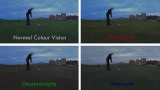 Protanopia vs Deuteranopia vs Tritanopia On St Andrews Golf Links [upl. by Card]