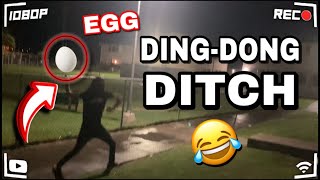 HALLOWEEN SPECIAL Playing DINGDONG DITCH and EGGING People Houses 😂 🥚 VLOG [upl. by Margeaux]