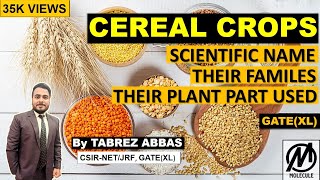 Cereal Crops  Scientific Name and Their Families amp Plant Part Used  BSc 3rd year Neet  GATE [upl. by Sone522]