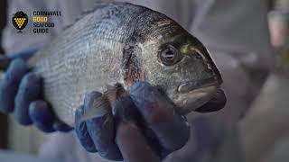 How to fillet a gilthead sea bream [upl. by Akenahc]