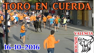 BOUS AL CARRER  PICASSENT V 2016  TORO EN CUERDA QUE PELIGRO GENTE POR EL SUELO  1080 HD [upl. by Nogaem752]