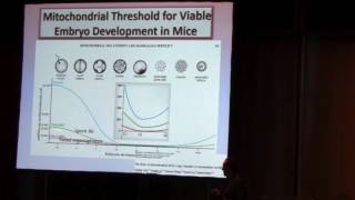 Autologous Mitochondrial Injection to Improve Oocyte Quality  Kutluk Oktay [upl. by Nennek]