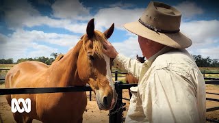 Squatter Coffey clocks off after 50 years as a Mallee grain handler 🌾🐴🤠 ABC Australia [upl. by Gerson]