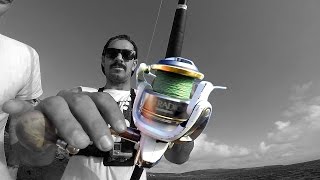 Fishing with a Shimano Stradic  Small Reel Big Fish [upl. by Hurless]