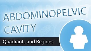 Abdominopelvic Quadrants and Regions [upl. by Yznil]