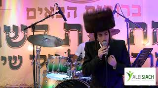 Simchat Beit Hashoeva for Alei siach with the Emotion Artist Rabbi Moti Steinmetz [upl. by Neela]