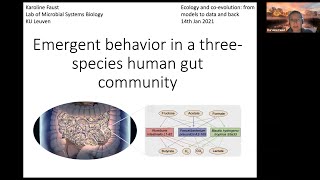 Emergent behaviour in a threespecies human gut community [upl. by Suoirad]