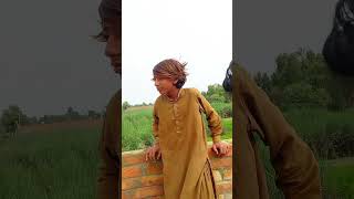 kabootar bazon ki batain  pigeon lovers funny pakistani comedy kabootarbaziinpakisatan funny [upl. by Selia]