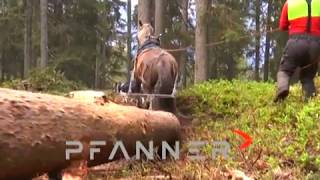 Pfanner Forestry Clip 2019 [upl. by Uhp]