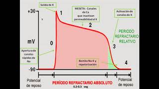 ANTIARRITMICOS Y TAQUICARDIAS VENTRICULARES 110920 [upl. by Greggory]