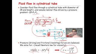 Coefficient of Viscosity of Water  Poiseuilles method  Experiment [upl. by Yhtorod368]