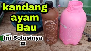 Cara Menghilangkan Bau Kotoran dan Lalat Di Kandang Ayam menggunakan EM4 [upl. by Asseret]