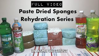 Paste Dried Sponges Rehydration Series Full Video  ASMR [upl. by Conlan]