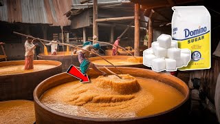 देखिए Factory में Sugar कैसे बनता हैं॥ Manufacturing Process Of Sugar  sugar factory [upl. by Amlet]