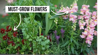 The Best Companion Planting Flowers for the Spring Garden [upl. by Abdel326]