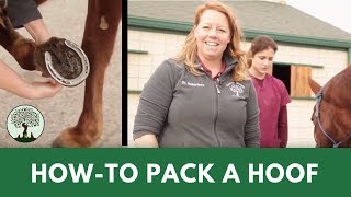 How to Pack a Hoof  from a HorseDoctor [upl. by Tri]