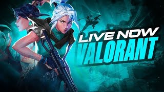 🔴Valorant Heavy Gameplay  Albatross1751  facecam valorant streamer valorantlive [upl. by Lovich685]