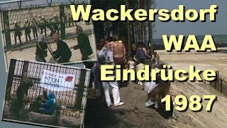 Ereignisse am Bauzaun der WAA bei Wackersdorf 1987 [upl. by Lynus]