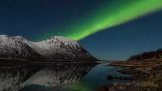 Northern Lights in Lofoten  Aurora Borealis in the Lofoten Islands Norway [upl. by Bricker]