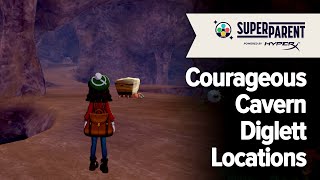 Courageous Cavern Diglett Locations  Pokemon Sword and Pokemon Shield Isle of Armor [upl. by Yoccm]