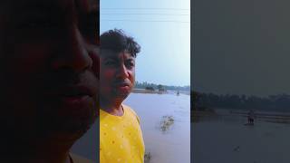 চাষের জমি তে ধান সব নষ্ট হয়ে গেছে 🌾🌾🌾 banglanews youtubeshorts shorts short shortvideo [upl. by Lunetta]